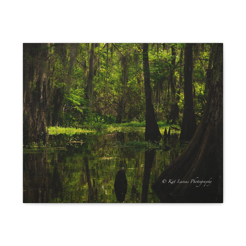 Cathedral of Moss Louisiana cypress swamp photography printed on horizontal stretched canvas.