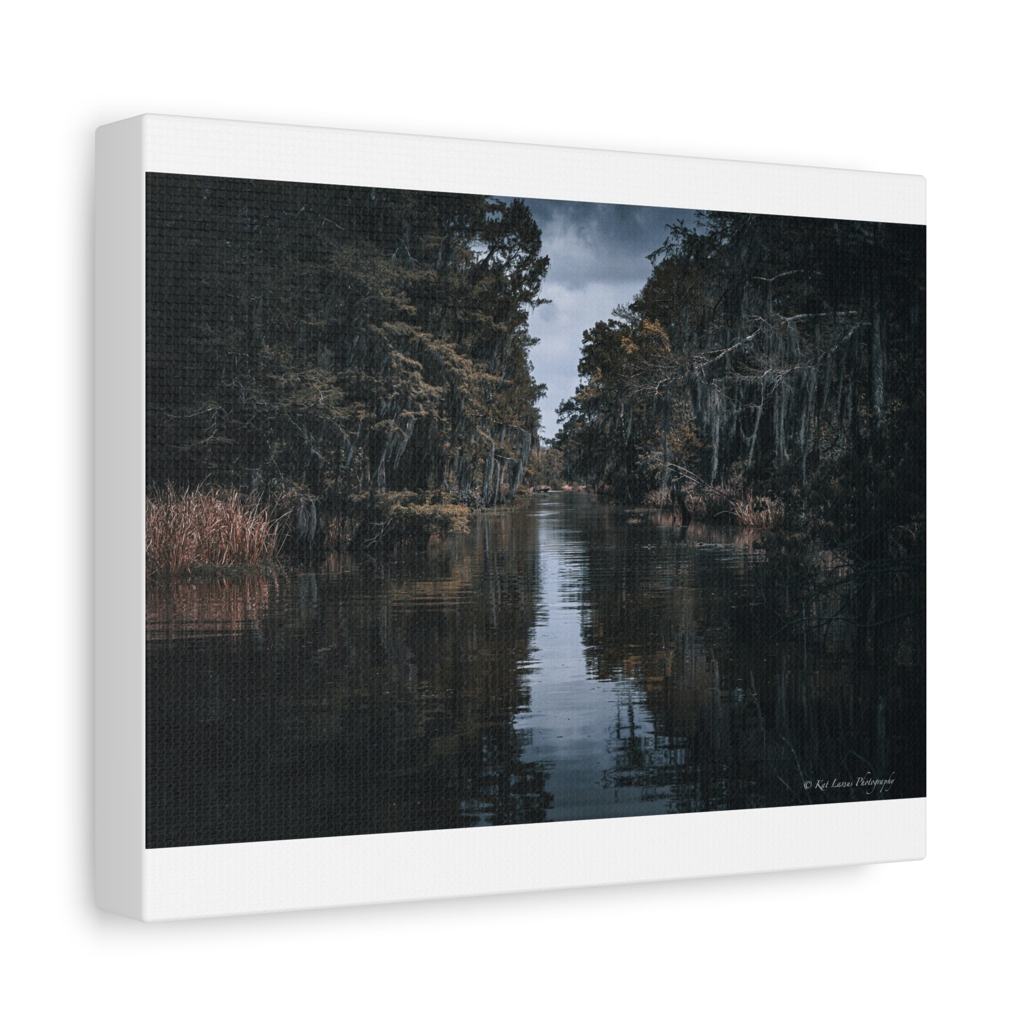 Veil of the Marsh