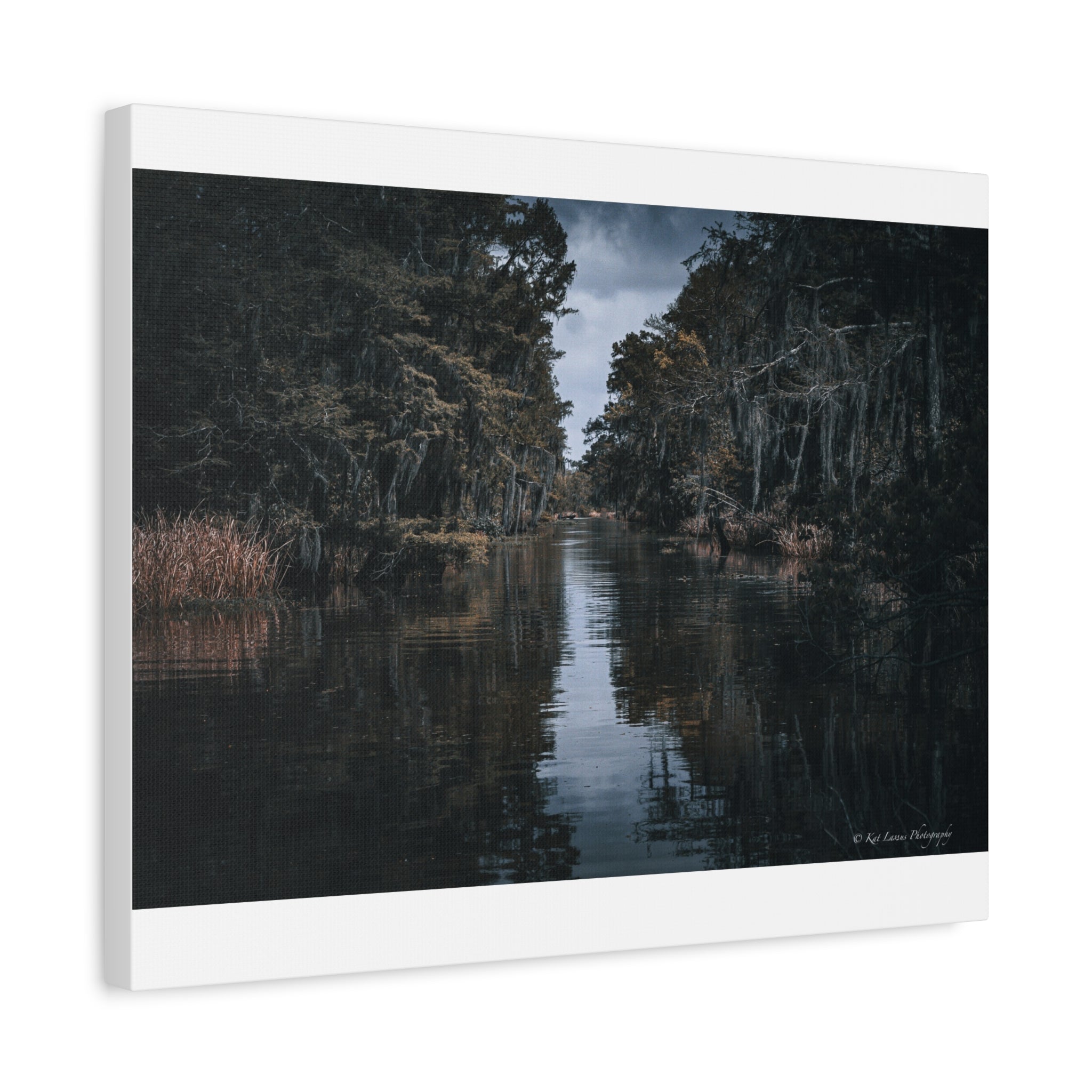 Veil of the Marsh