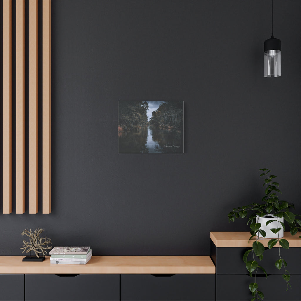 Veil of the Marsh moody Louisiana swamp canvas displayed on a dark interior wall.