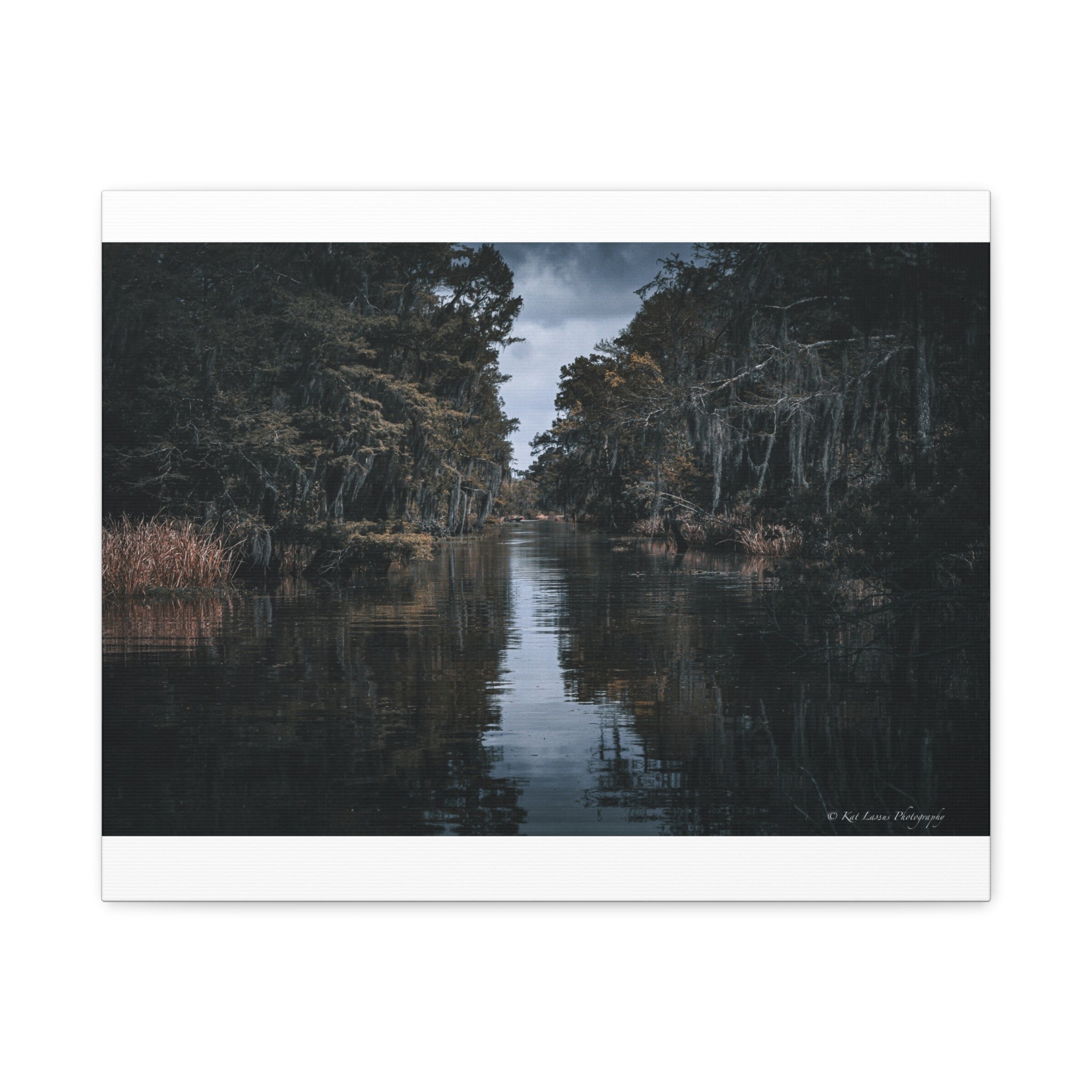 Veil of the Marsh