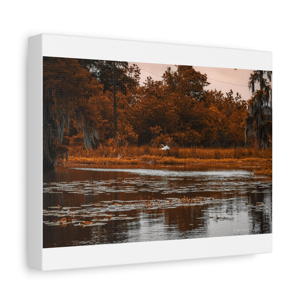 Heron in Amber Light