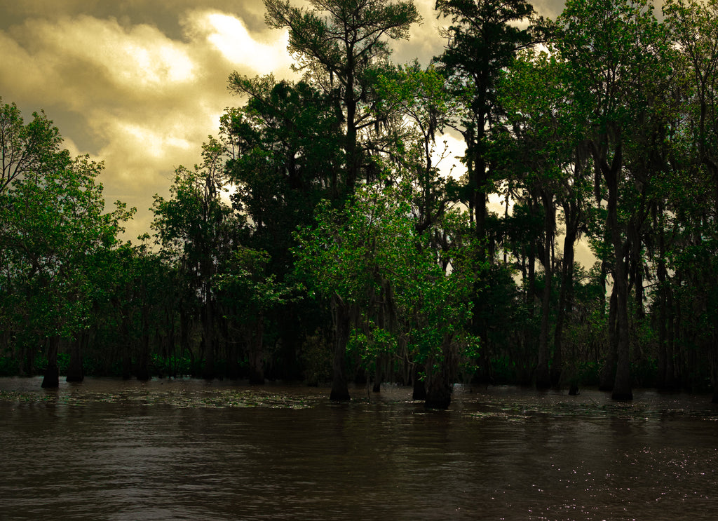 Shadows Over the Bayou Louisiana landscape photograph with dark cypress trees, reflective water, and dramatic golden sky.