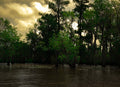 Shadows Over the Bayou Louisiana landscape photograph with dark cypress trees, reflective water, and dramatic golden sky.