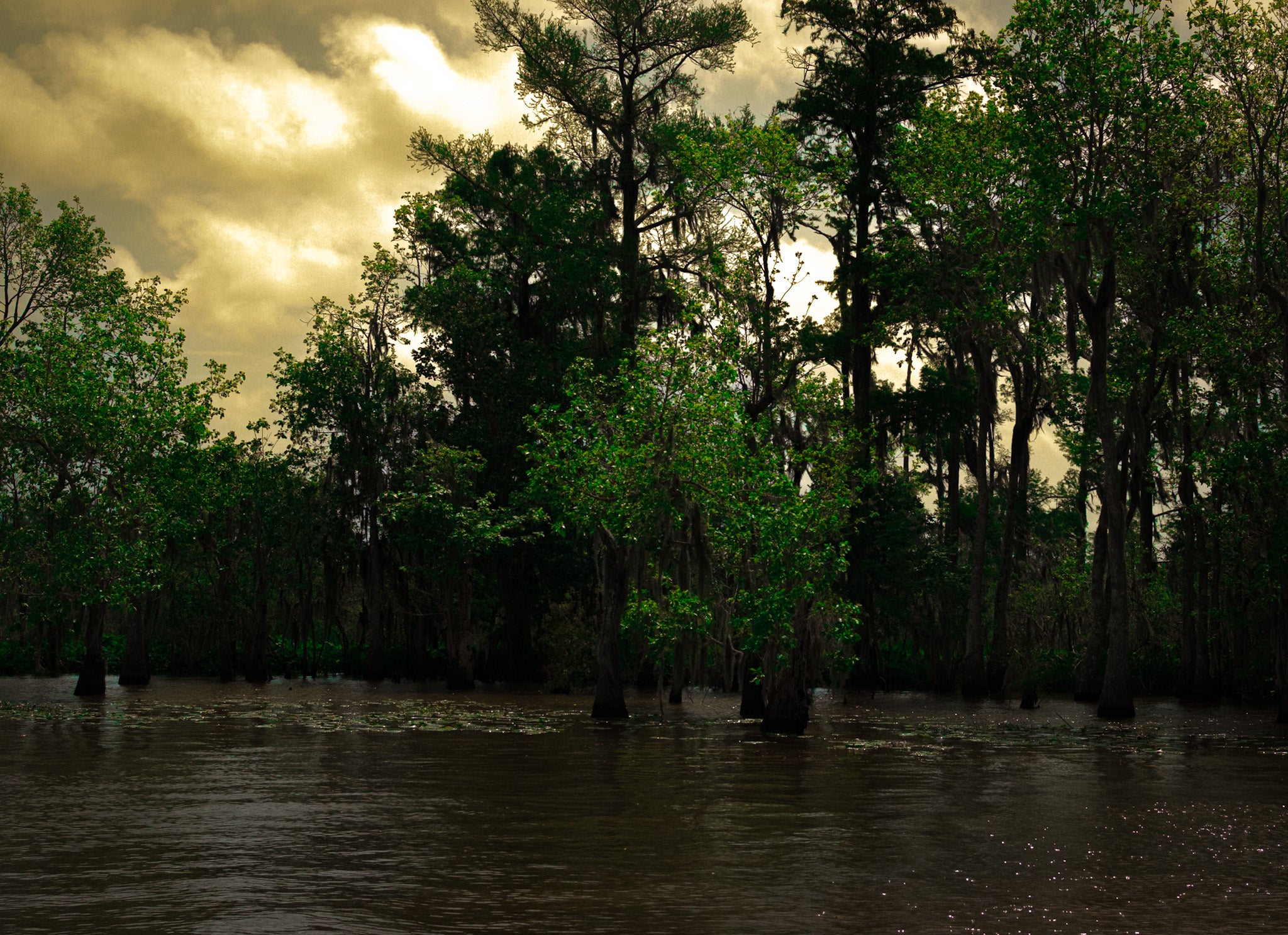 Shadows Over the Bayou Louisiana landscape photograph with dark cypress trees, reflective water, and dramatic golden sky.