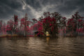 Swamp Sanctuary in Crimson Light Louisiana swamp landscape with cypress trees, dramatic clouds, and refections on the water.
