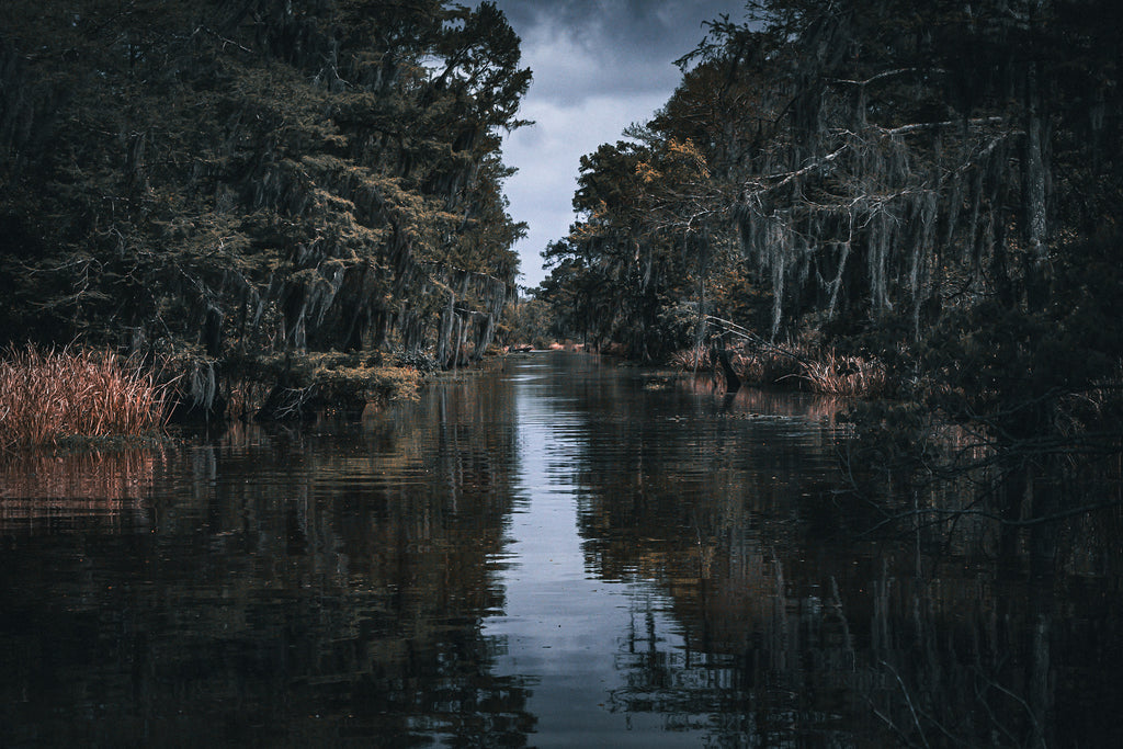 Veil of the Marsh Louisiana bayou landscape with dark cypress trees and reflective water.