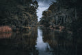 Veil of the Marsh Louisiana bayou landscape with dark cypress trees and reflective water.