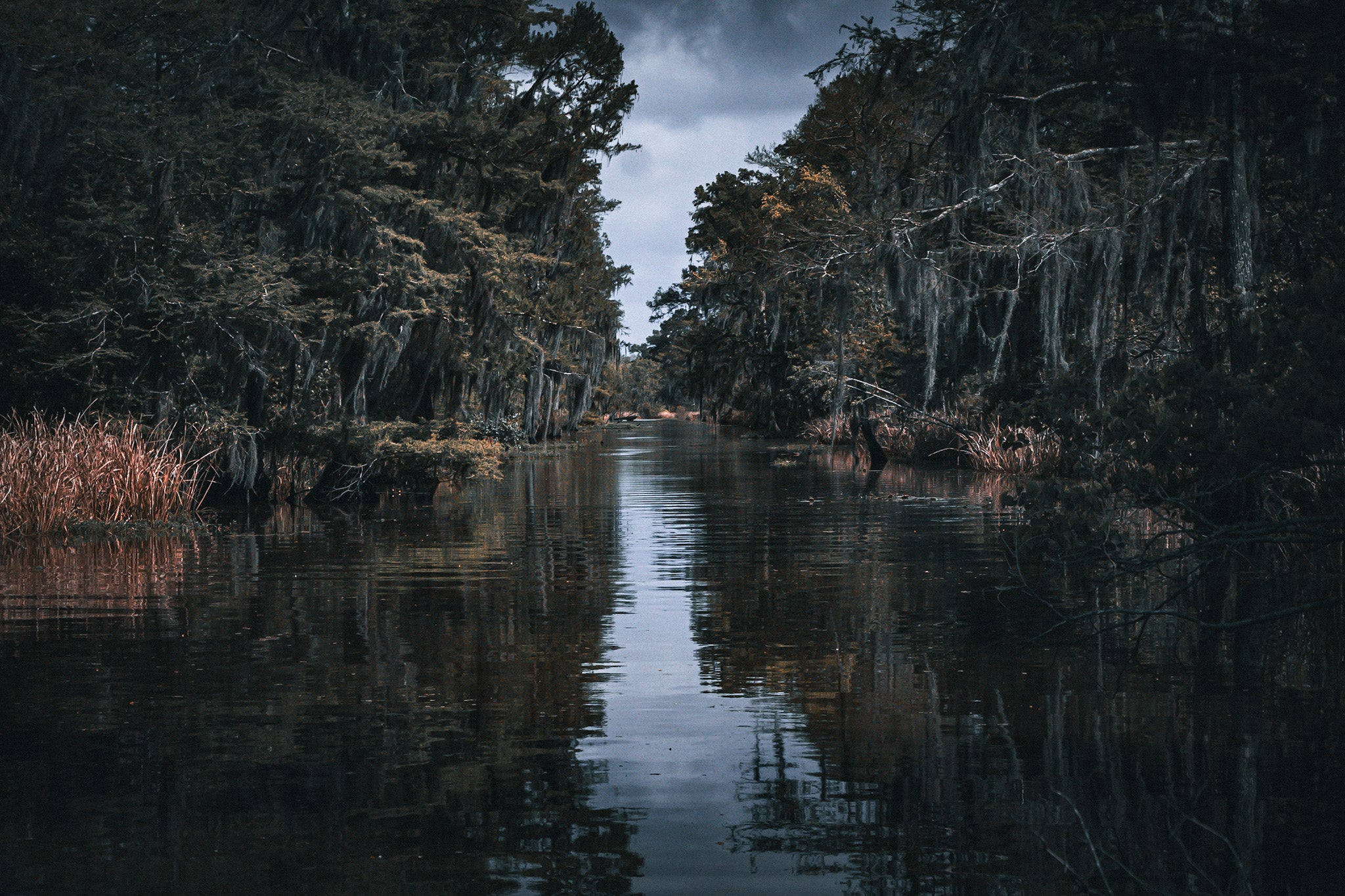 Veil of the Marsh Louisiana bayou landscape with dark cypress trees and reflective water.