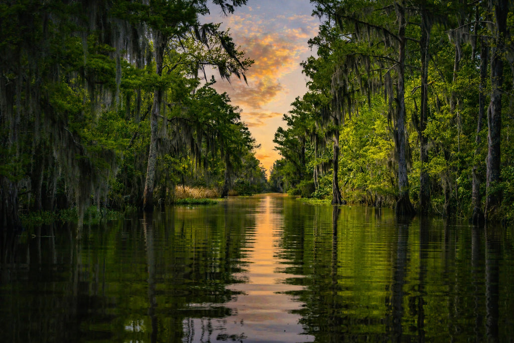 Whispers of the Bayou Louisiana cypress swamp sunset photography by Kat Lassus.